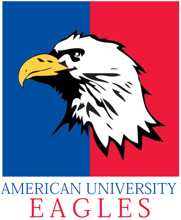 American Eagles 1985-2005 Primary Logo iron on transfers for T-shirts